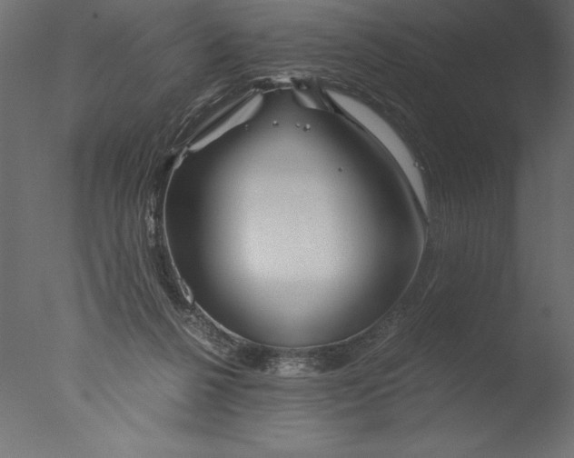 X0000076310264200610201620