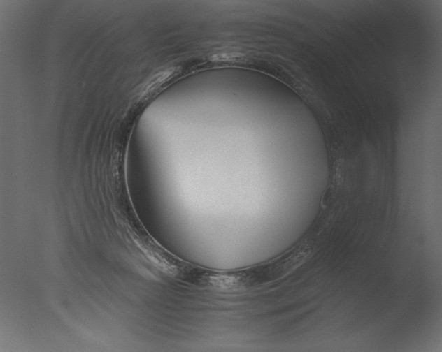 X0000076310265200610201620