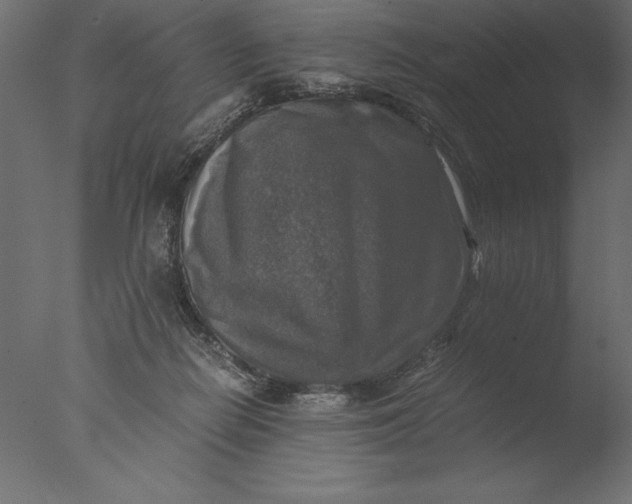 X0000076310266200610201620