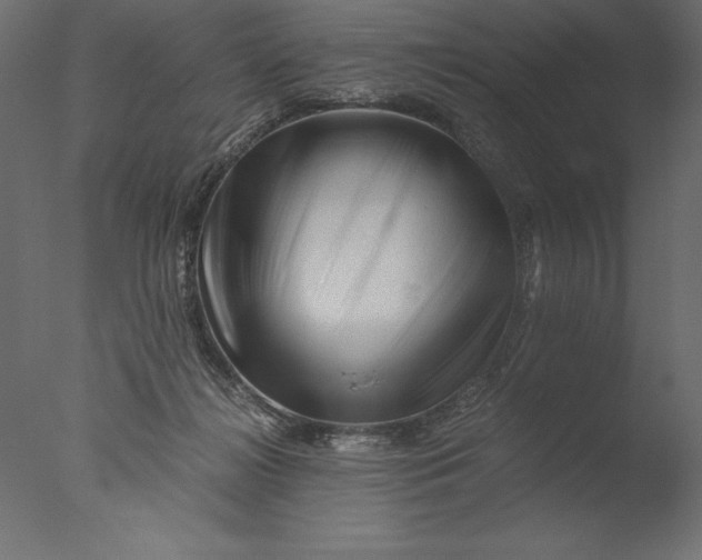 X0000076310268200610201620