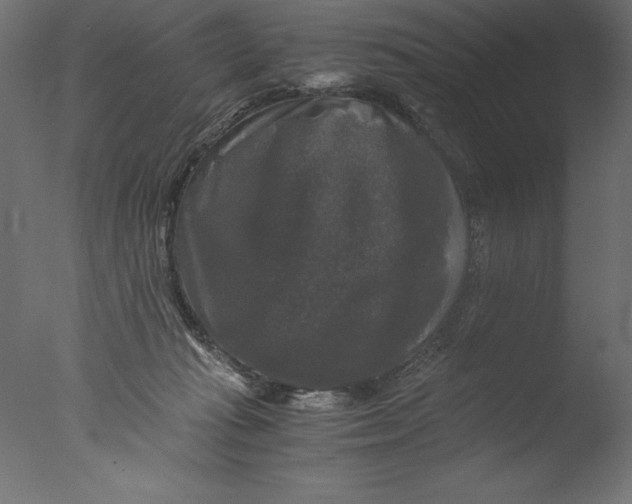 X0000076310269200610201620