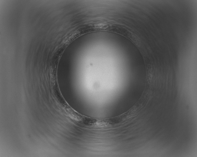 X0000076310270200610201620