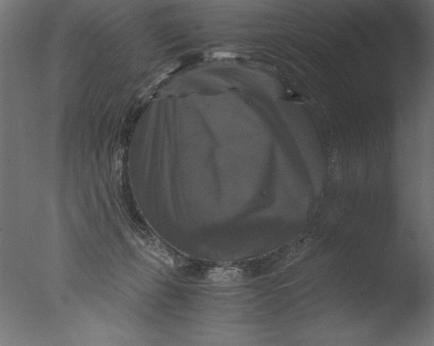 X0000076310271200610201620