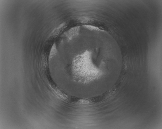 X0000076310272200610201620