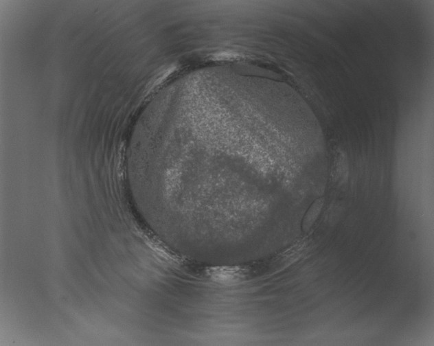 X0000076310273200610201620