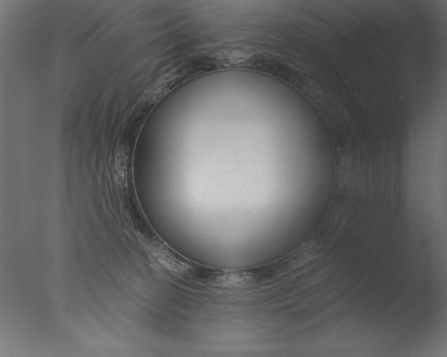 X0000076310274200610201620