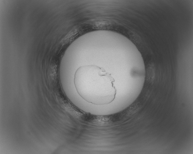 X0000076310278200610201620