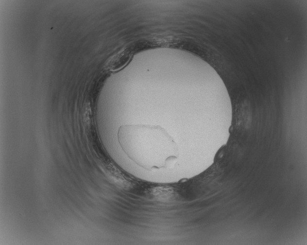 X0000076310279200610201620