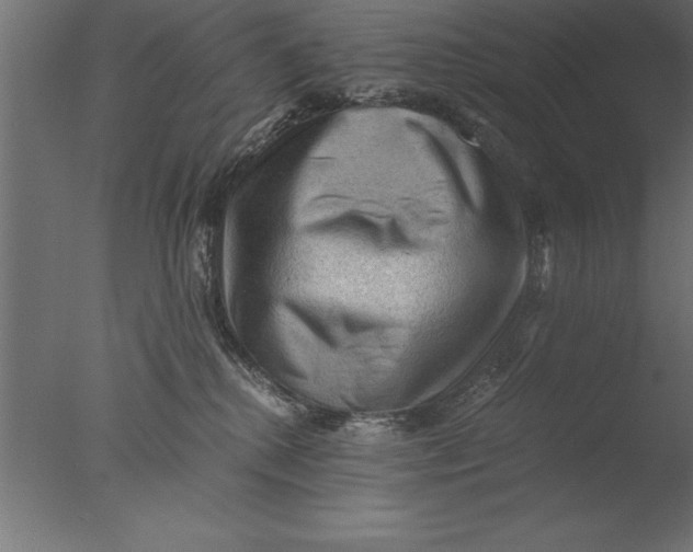 X0000076310280200610201620