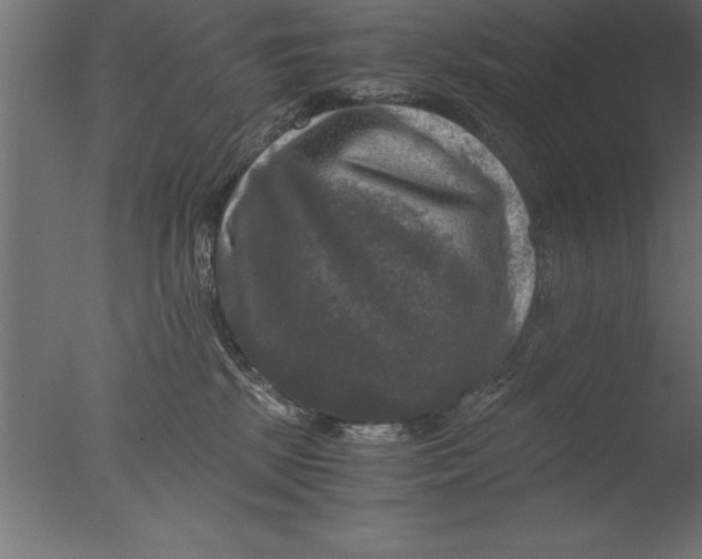 X0000076310281200610201620