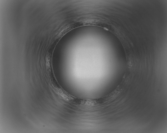 X0000076310282200610201620