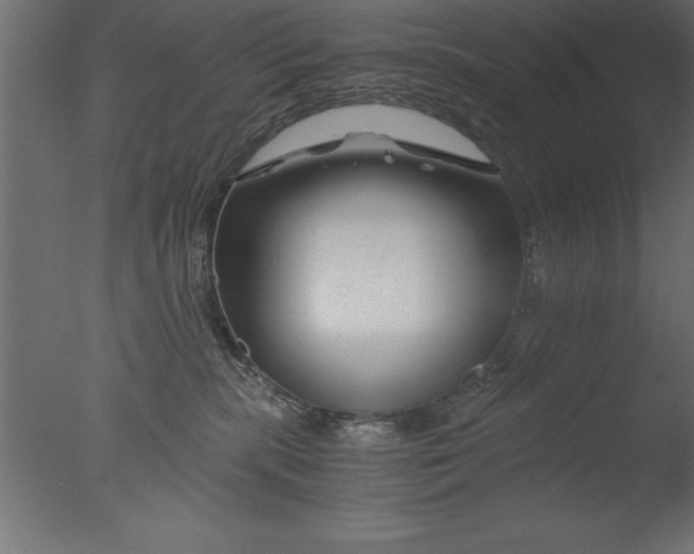 X0000076310283200610201620