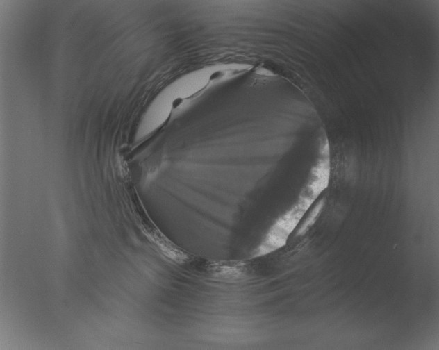 X0000076310285200610201621