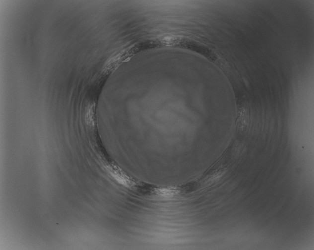 X0000076310286200610201621