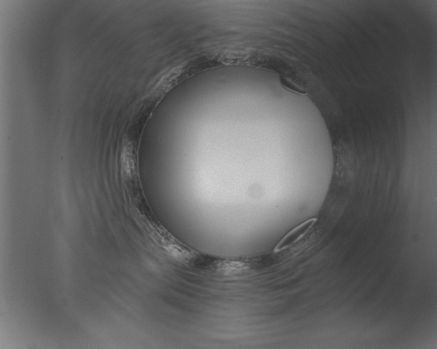 X0000076310287200610201621