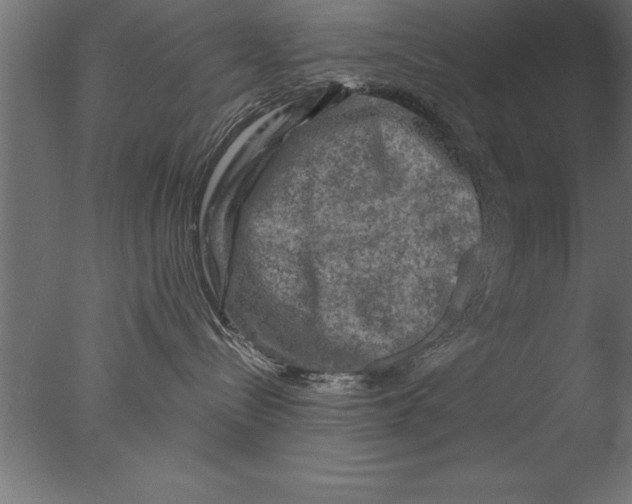 X0000076310288200610201621