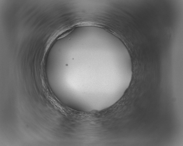 X0000076310289200610201620