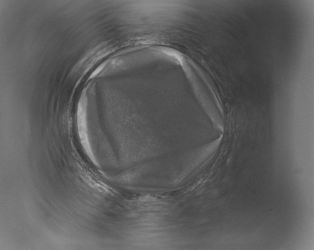 X0000076310290200610201620