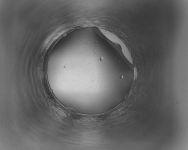 X0000076310291200610201620