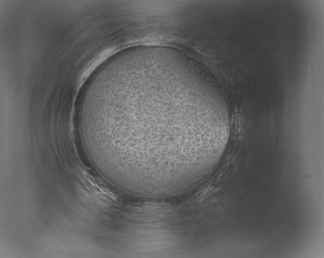 X0000076310292200610201620