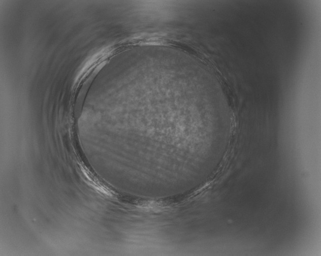 X0000076310293200610201620