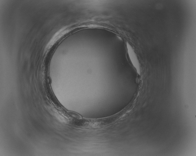 X0000076310295200610201620