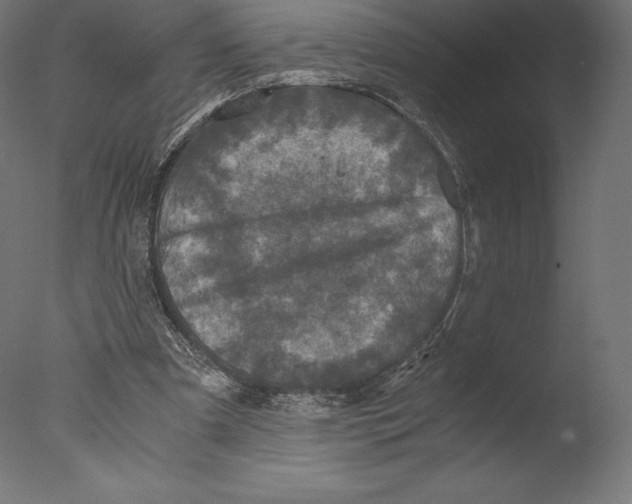 X0000076310297200610201620