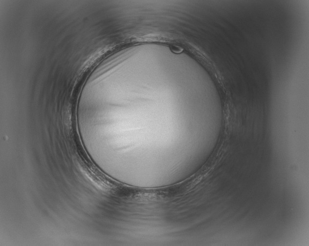 X0000076310298200610201620