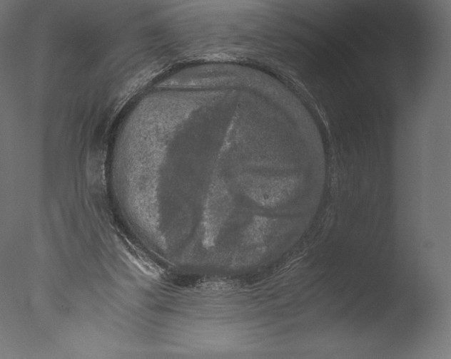 X0000076310299200610201620