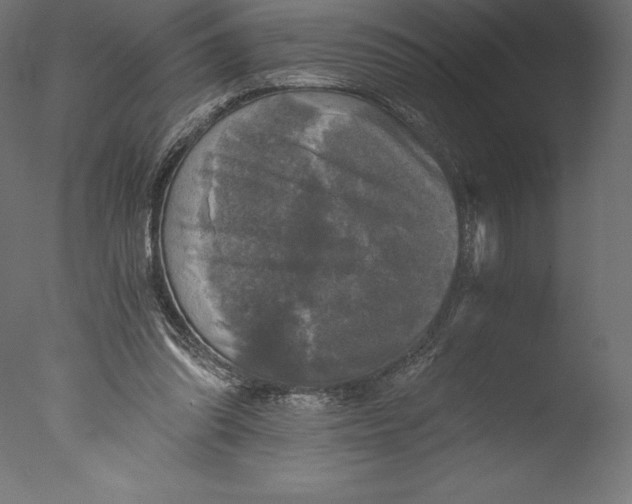 X0000076310302200610201620