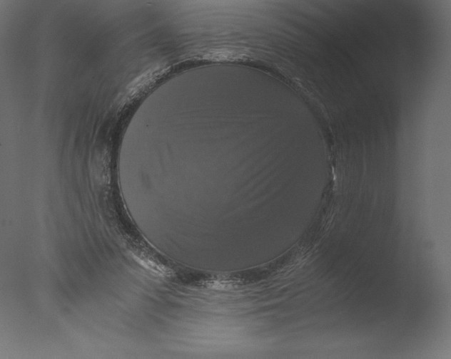 X0000076310303200610201619