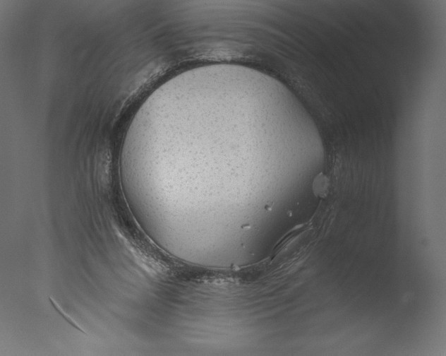 X0000076310304200610201619