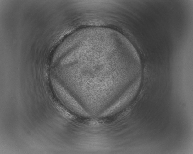 X0000076310305200610201619