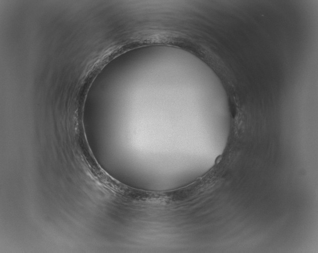 X0000076310306200610201619