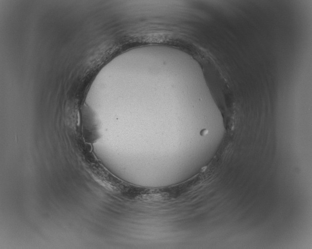 X0000076310307200610201619