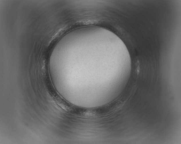 X0000076310308200610201619