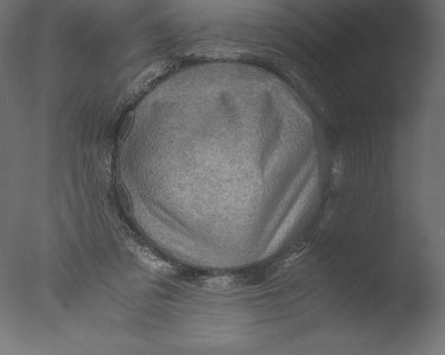 X0000076310309200610201619