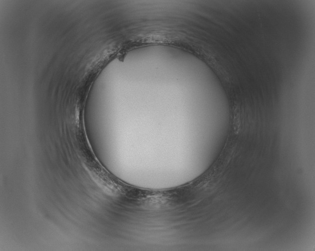 X0000076310310200610201619