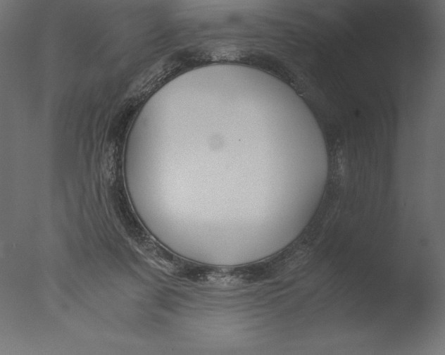 X0000076310311200610201619