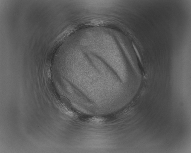 X0000076310313200610201619