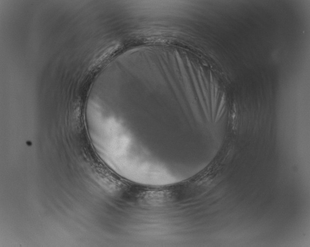 X0000076310314200610201619