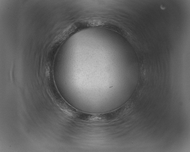 X0000076310315200610201619