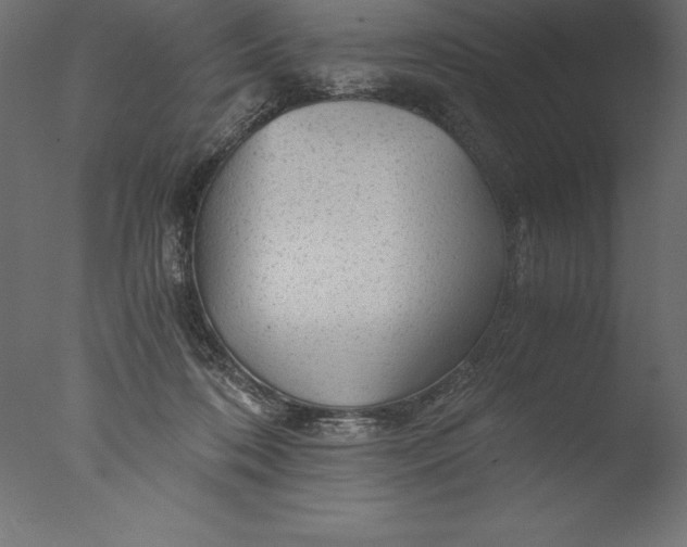 X0000076310316200610201619