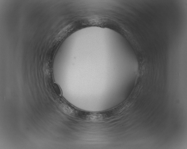 X0000076310317200610201619