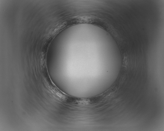 X0000076310318200610201619