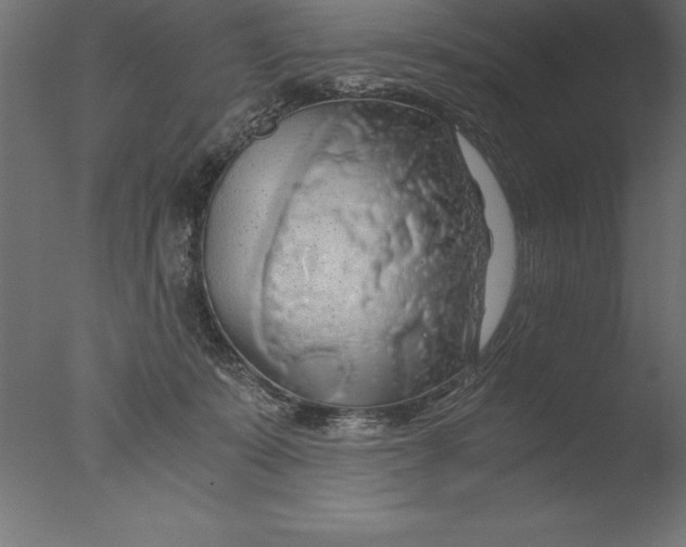 X0000076310319200610201619