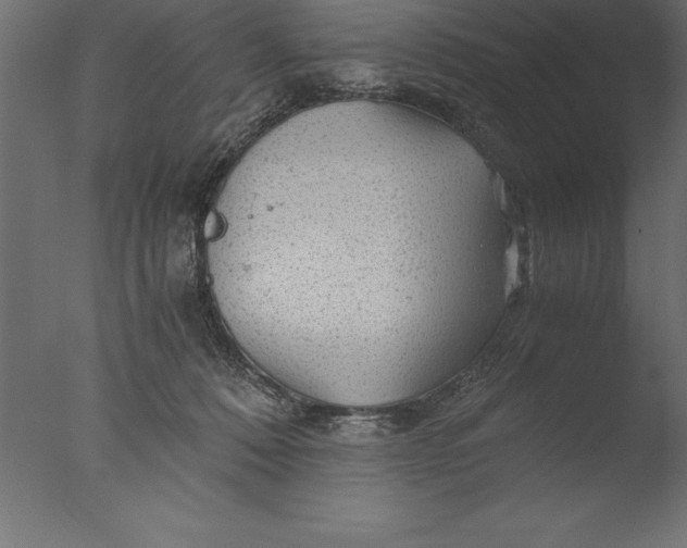 X0000076310320200610201619