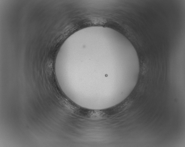 X0000076310321200610201619