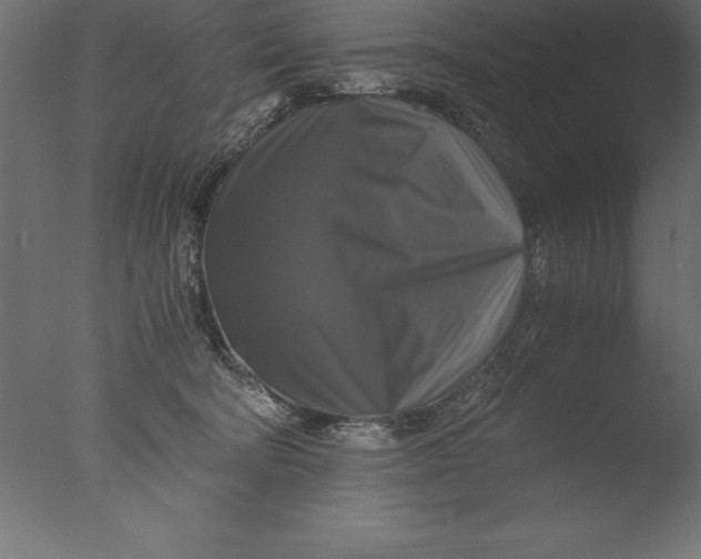 X0000076310322200610201619