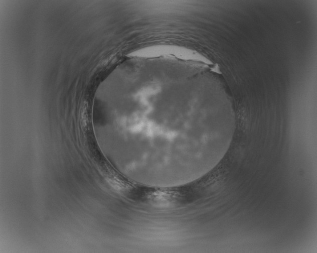 X0000076310323200610201619